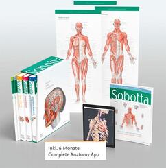 Sobotta Atlas der Anatomie, 3 B&auml;nde + Lerntabellen + Poster Collection im Schuber