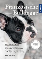 Franz&ouml;sische Bulldogge