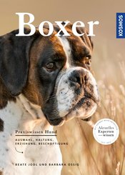 Boxer (eBook, ePUB)