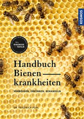 Handbuch Bienenkrankheiten (eBook, PDF)