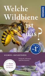 Welche Wildbiene ist das?