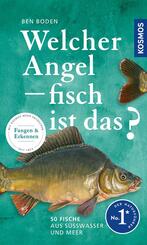 Welcher Angelfisch ist das?