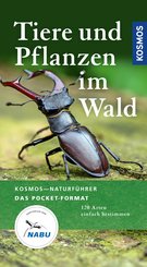 Tiere und Pflanzen im Wald (eBook, ePUB)