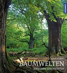 Baumwelten (eBook, PDF)