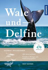 Wale und Delfine (eBook, PDF)