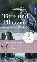 Tier und Pflanzen am Wasser (eBook, PDF)