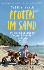 Pfoten im Sand