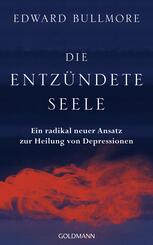 Die entz&uuml;ndete Seele