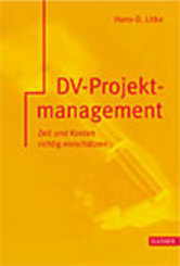 DV-Projektmanagement