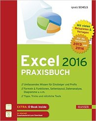 Excel 2016 Praxisbuch