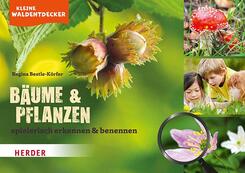 Kleine Waldentdecker: Bäume & Pflanzen