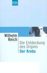 Der Krebs
