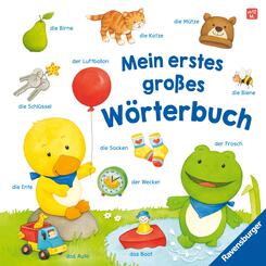 Mein erstes großes Wörterbuch