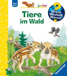 Wieso? Weshalb? Warum? junior, Band 77 - Tiere im Wald