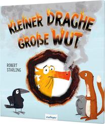 Kleiner Drache Finn: Kleiner Drache ? große Wut