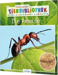 Meine große Tierbibliothek: Die Ameise