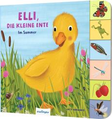 Mein erstes Jahreszeitenbuch: Elli, die kleine Ente