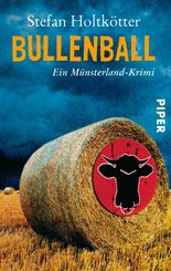 Bullenball (eBook, ePUB)