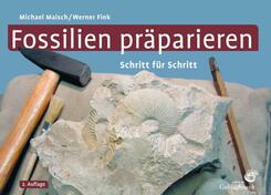 Fossilien pr&auml;parieren