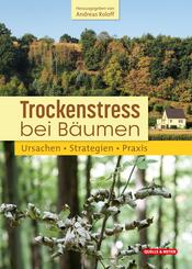 Trockenstress bei B&auml;umen