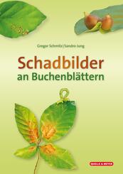Schadbilder an Buchenbl&auml;ttern