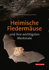 Heimische Flederm&auml;use und ihre wichtigsten Merkmale