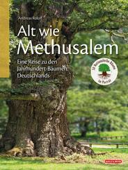 Alt wie Methusalem - Eine Reise zu den Jahrhundert-B&auml;umen Deutschlands