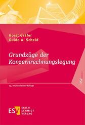 Grundz&uuml;ge der Konzernrechnungslegung
