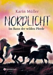 Nordlicht - Im Bann der wilden Pferde