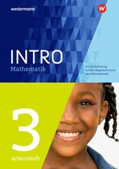 INTRO Mathematik SI - Arbeitsheft 3