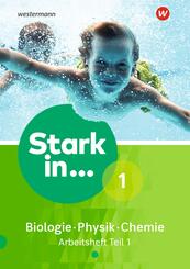 Stark in Biologie/Physik/Chemie - Ausgabe 2017.Tl.1