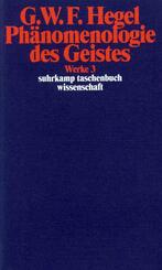 Ph&auml;nomenologie des Geistes