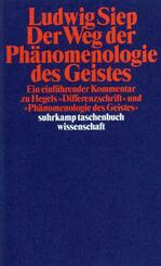 Der Weg der 'Ph&auml;nomenologie des Geistes'