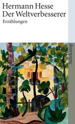 Der Weltverbesserer