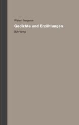 Werke und Nachla&szlig;. Kritische Gesamtausgabe