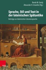 Sprache, Stil und Text in der lateinischen Sp&auml;tantike