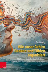 Wie unser Gehirn Denken und F&uuml;hlen organisiert