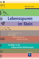 Lebensspuren im Stein