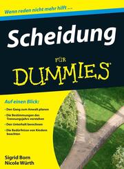 Scheidung f&uuml;r Dummies