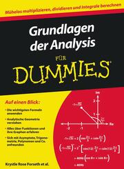 Grundlagen der Analysis f&uuml;r Dummies