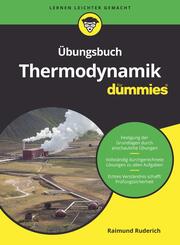 &Uuml;bungsbuch Thermodynamik f&uuml;r Dummies