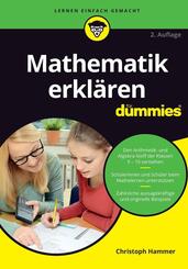 Mathematik erkl&auml;ren f&uuml;r Dummies