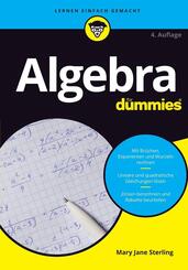 Algebra f&uuml;r Dummies