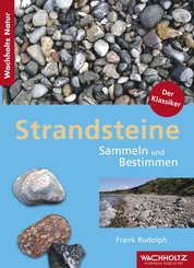 Strandsteine (eBook, ePUB)