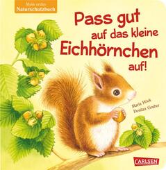 Pass gut auf das kleine Eichhörnchen auf