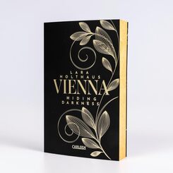 Vienna 2: Hiding Darkness