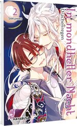 In mondheller Nacht 2 - Drachenregen