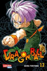 Dragon Ball Massiv - Bd.12