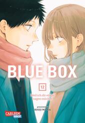 Blue Box 12