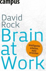 Brain at Work (eBook, PDF)
